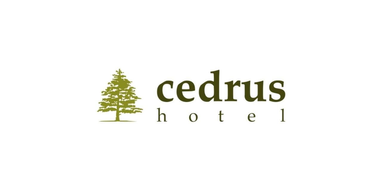 Cedrus Hotel Antalya Buitenkant foto